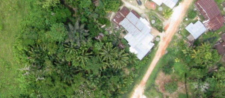 Bornéo Photo aérienne Longhouse verger. Source : Visions Carto 