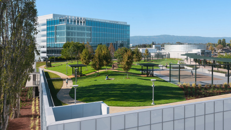 Un jardin suspendu chez Google | Chroniques d‘architecture