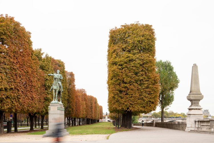 Champs-Elysées - histoire & perspectives
