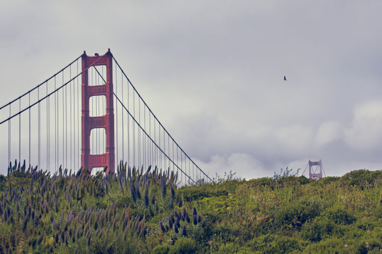Pont de San Francisco 