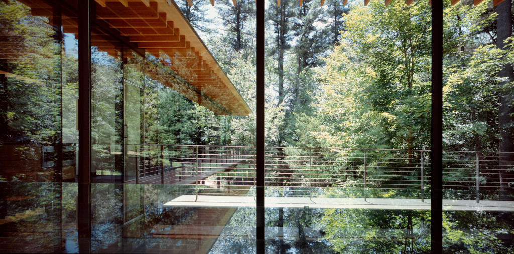 Glass Wood House