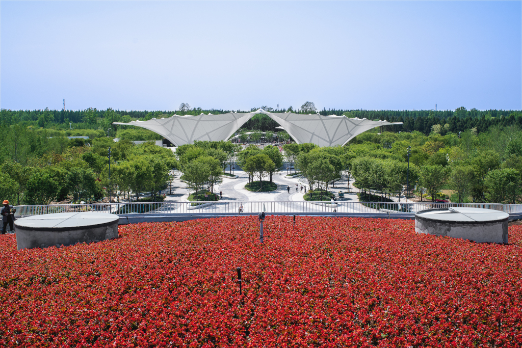  Ecadi China Flower Expo 2021