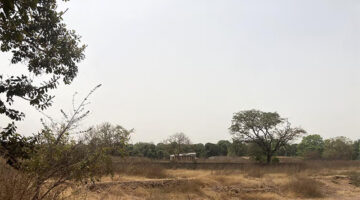 Guiré Yéro Bocar Bibliothèque Asseept-Casamance