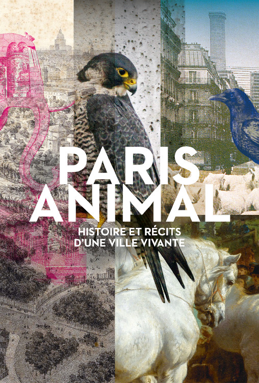  Expo Paris Animal