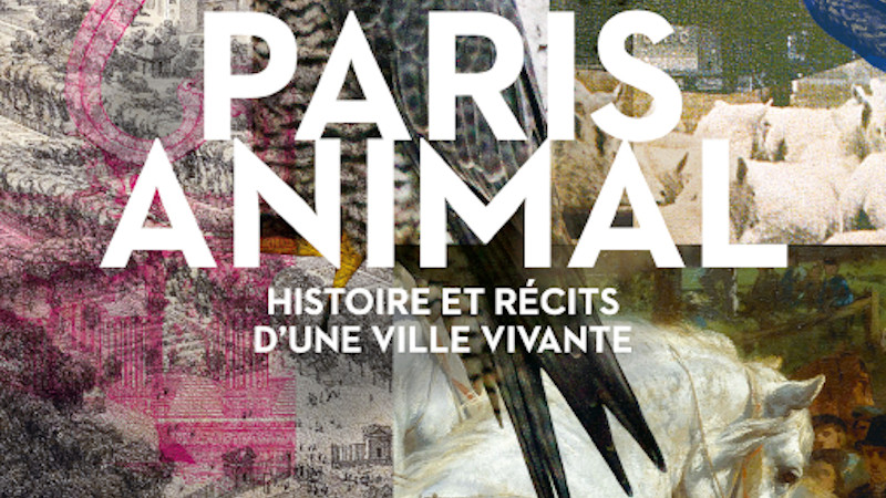 Paris Animal – Histoire et récits d'une ville vivante