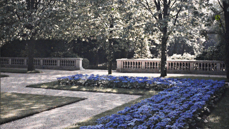 Natures Vivantes – Images et imaginaires des jardins d’Albert Kahn