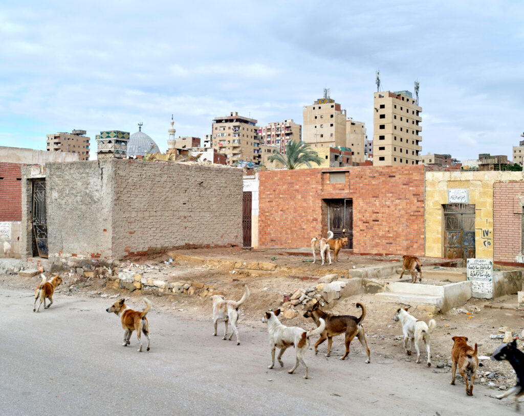 Le Caire 