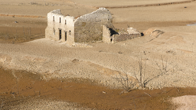 Sequera [État des lieux], de Clément Guillaume