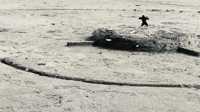 Chroniques de sable – Véronique Descharrières ou King Kong à la plage