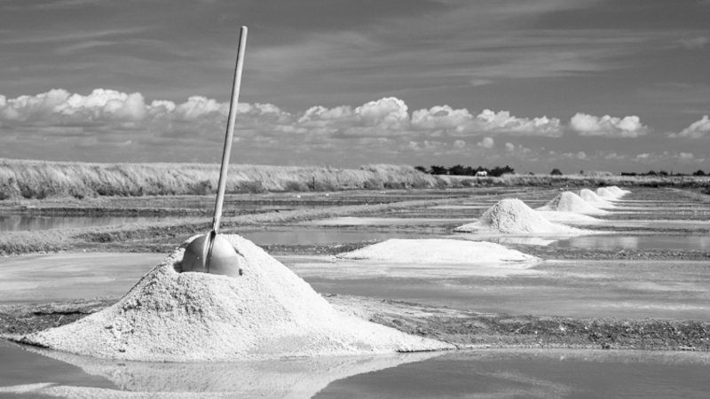 « Gens de la terre » et Geste du Saunier