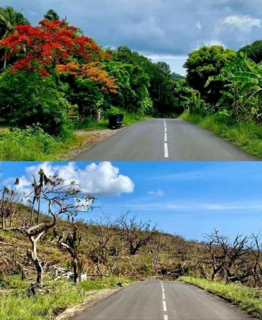  Mayotte 