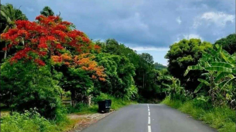 À Mayotte, les Béni-oui-oui de Notre-Dame regardent ailleurs