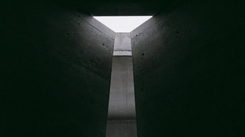 The Brutalist, un classique du XXIe siècle ?