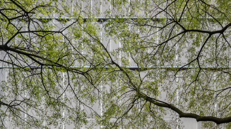 À Toulouse, Bâtiment Rempart signé Bruno Gaudin et Scalene
