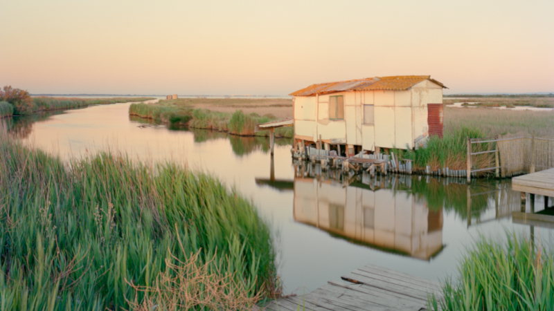 Cité Oasis : étang de l’Or, par Laurent Kronental et Charly Broyez