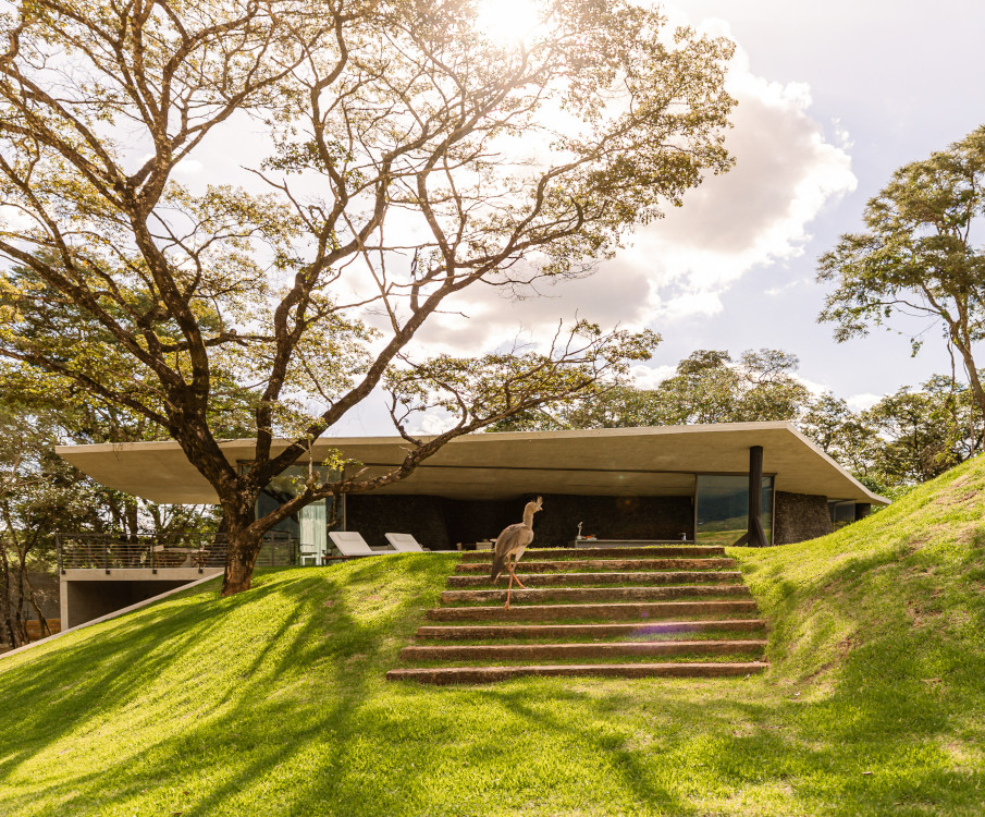 maison Seriema Brésil TETRO