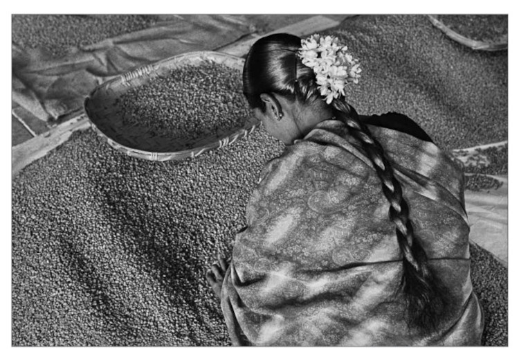 Sebastião Salgado