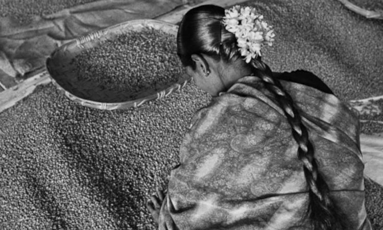 Genesis, de Sebastião Salgado