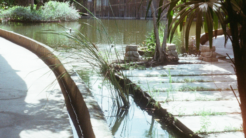 L’agence d’architecture, un archipel au cœur de Saïgon