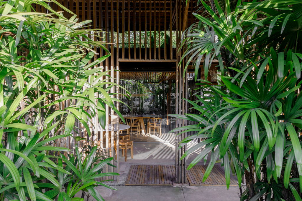 DE-SO Asia_studio