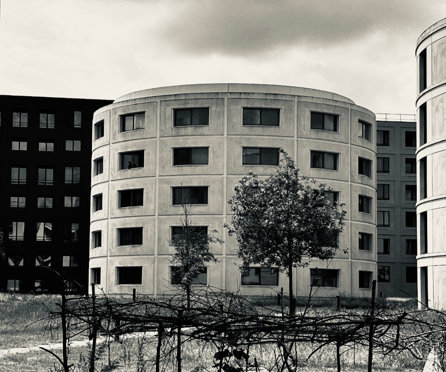 Logements Serendicity par LAN