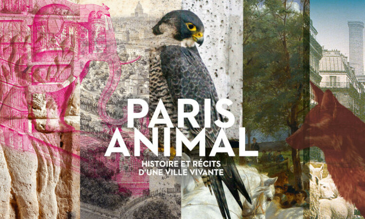 Paris Animal – Histoire et récits d’une ville vivante