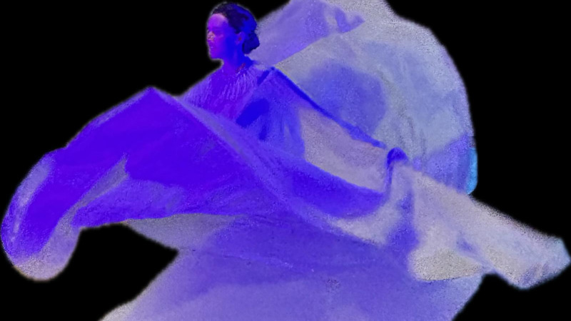 Hôtel Miss Füller, restaurant Serpentine… Résidence artistique ?