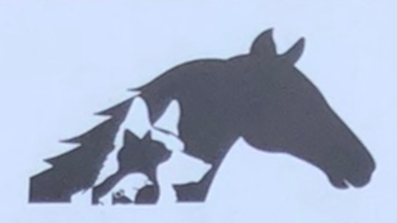 À Grenoble, un Plan-Chien pour la « cani-accueillance »