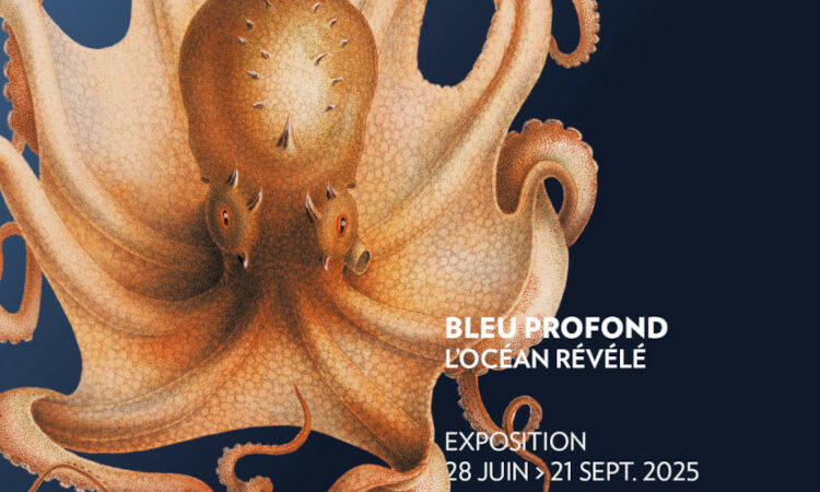 Bleu profond – L’océan révélé