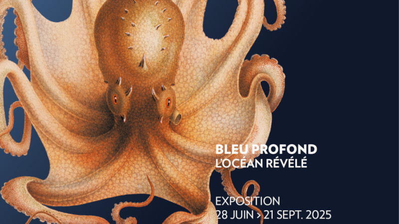 Bleu profond – L’océan révélé