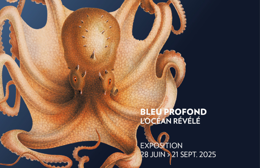 bleu profond
