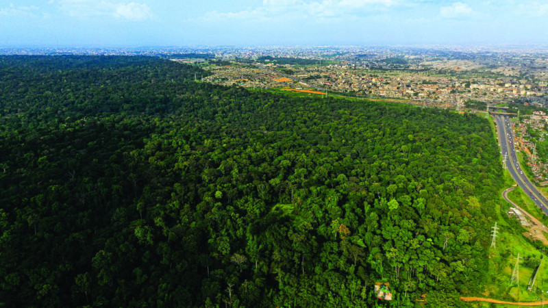 À Abidjan, le parc Banco et sa forêt primaire : un sanctuaire vital menacé