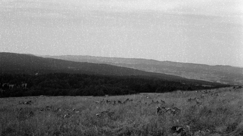 De l’impossibilité d’oublier la mer – Anamnèse jurassienne