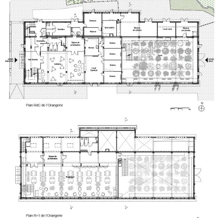 Orangerie MNHN