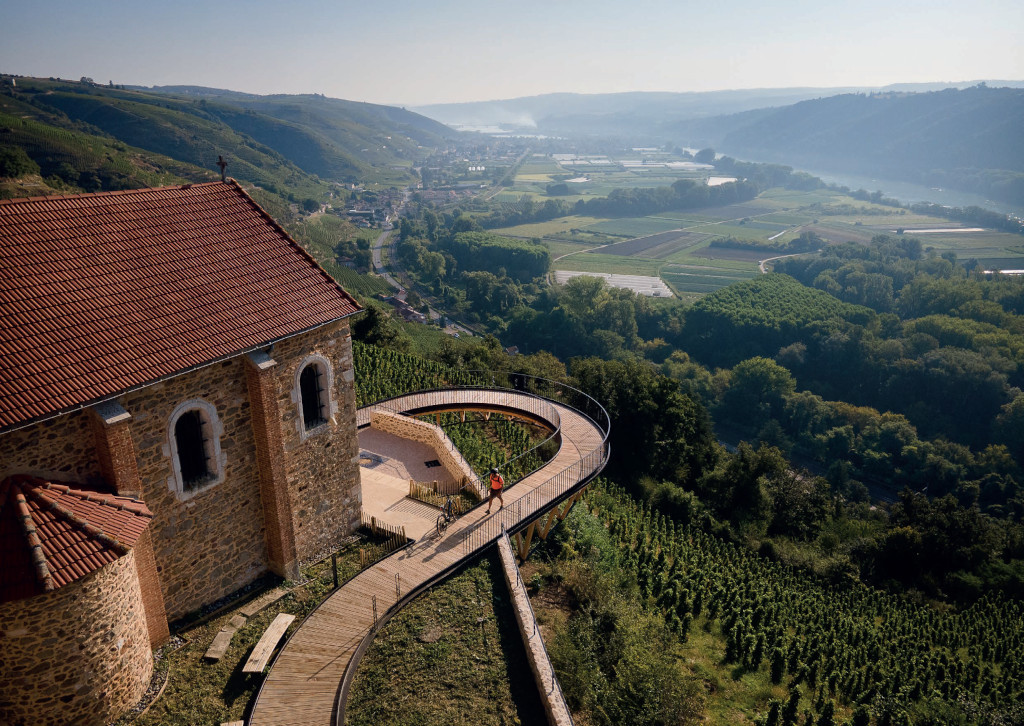 Belvédère sur les coteaux viticoles
