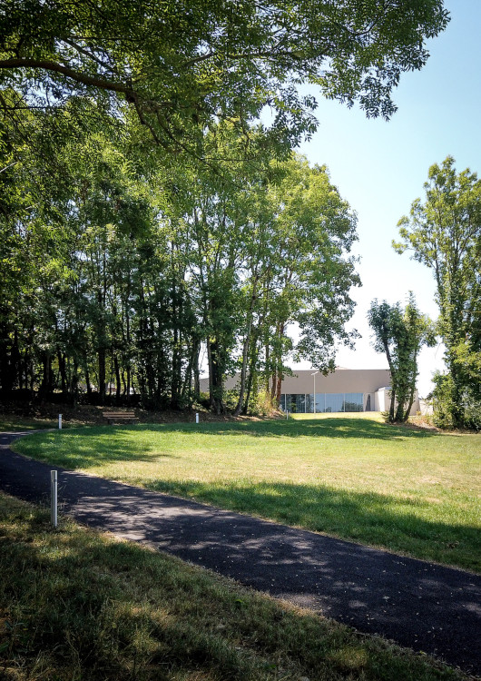 Boris d'Archi - SPACES