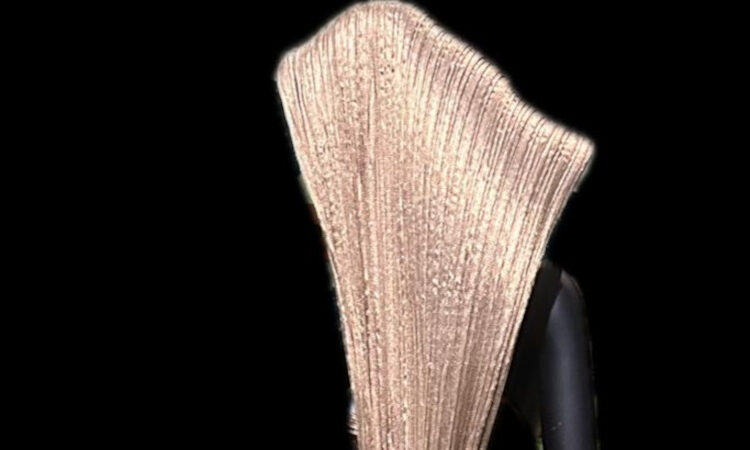 Ce qui se trame ou le voyage immobile