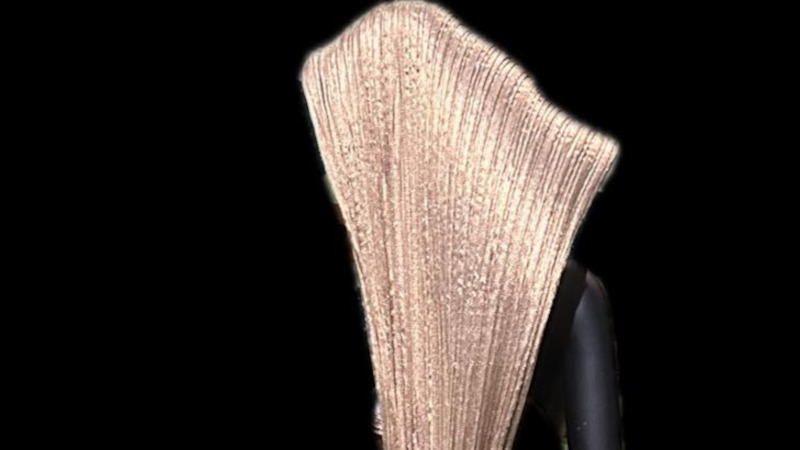 Ce qui se trame ou le voyage immobile