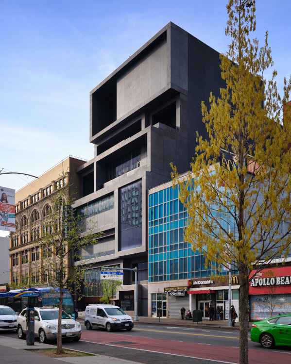 Studio Museum, Harlem Adjaye Associates