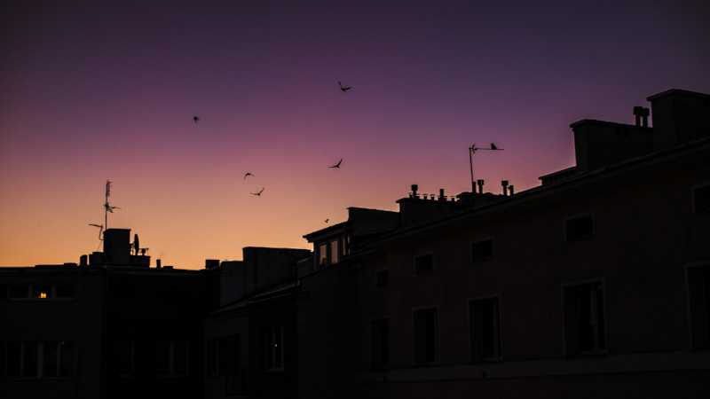 Plus rien ne s’oppose à la nuit