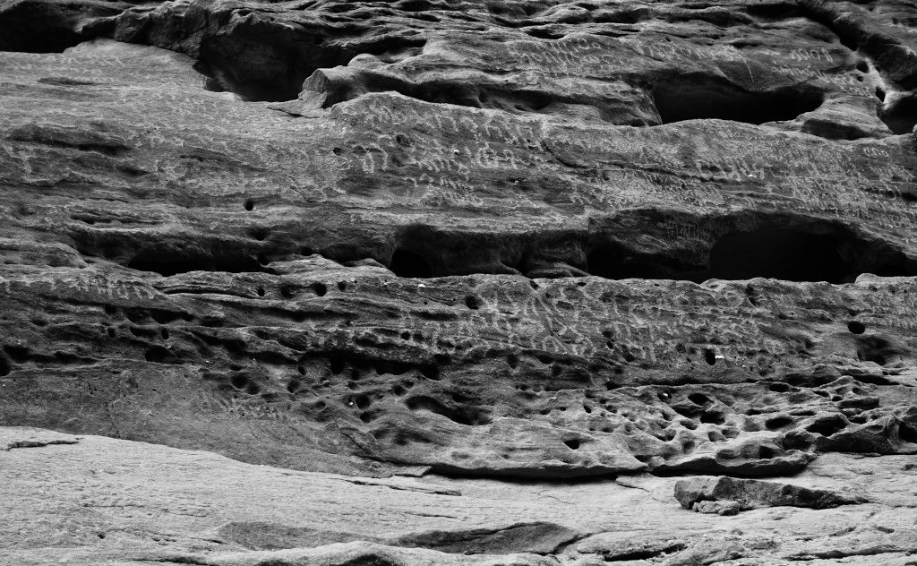 Bibliothèque ouverte