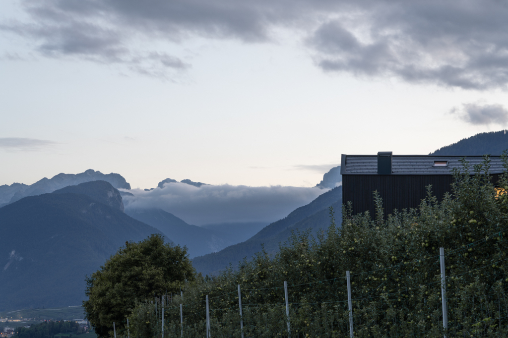 MoDusArchitects Hometown House