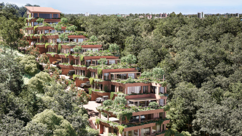 Au Kenya, Les Jardins exubérants d’Obi Oyoke