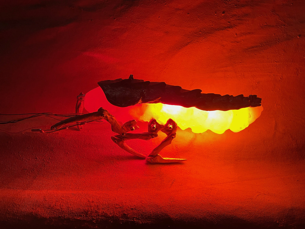 Enterrer le soleil Quadrilataire, Beauvais