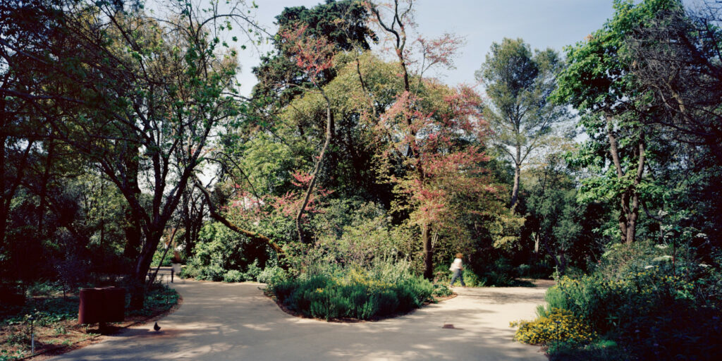 Centro de Arte Moderna Gulbenkian