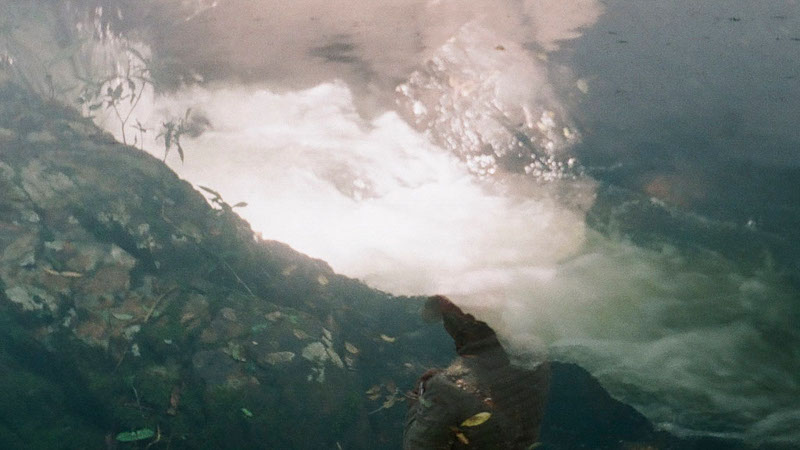 La visite du bassin « khoi fish »