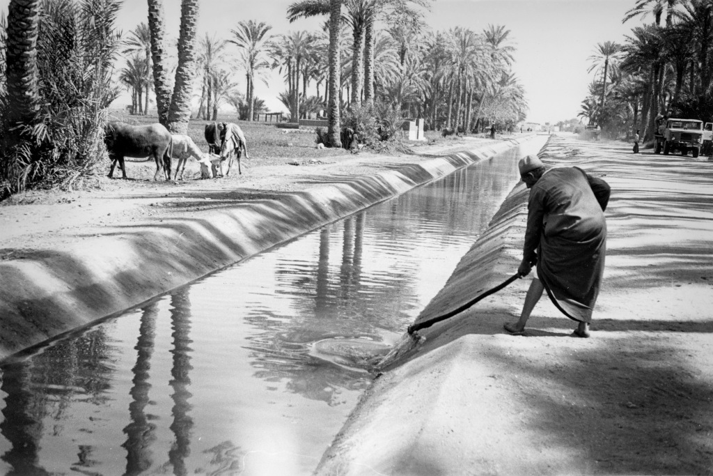 Canal d’irrigation à Memphis
