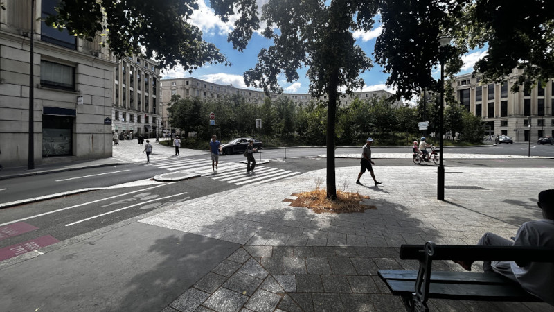 Forêts urbaines : deux mots en quête de sens