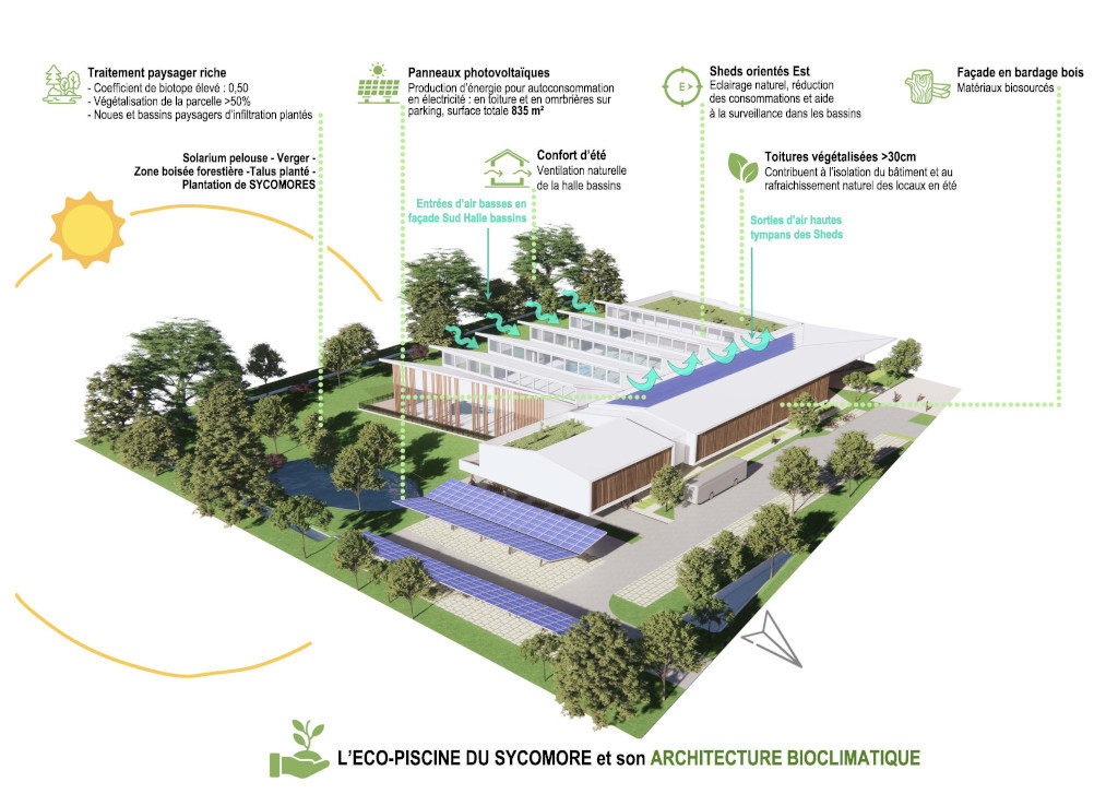 Eco-piscine du Sycomore