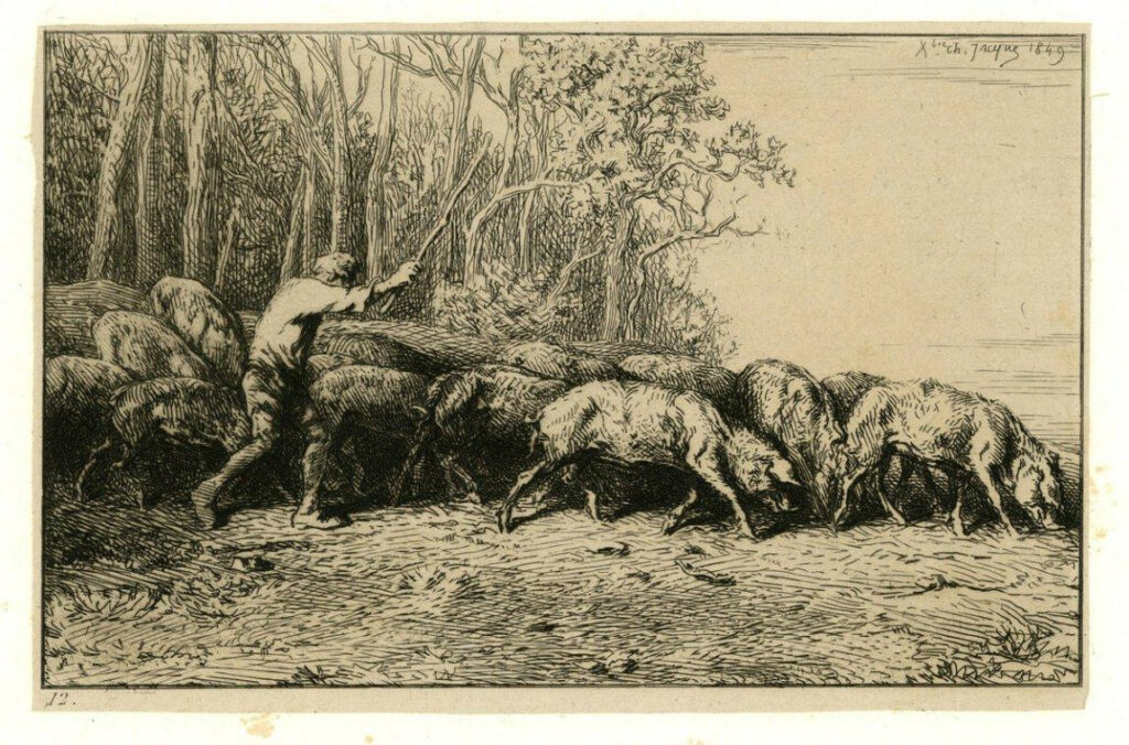 Pastoralisme